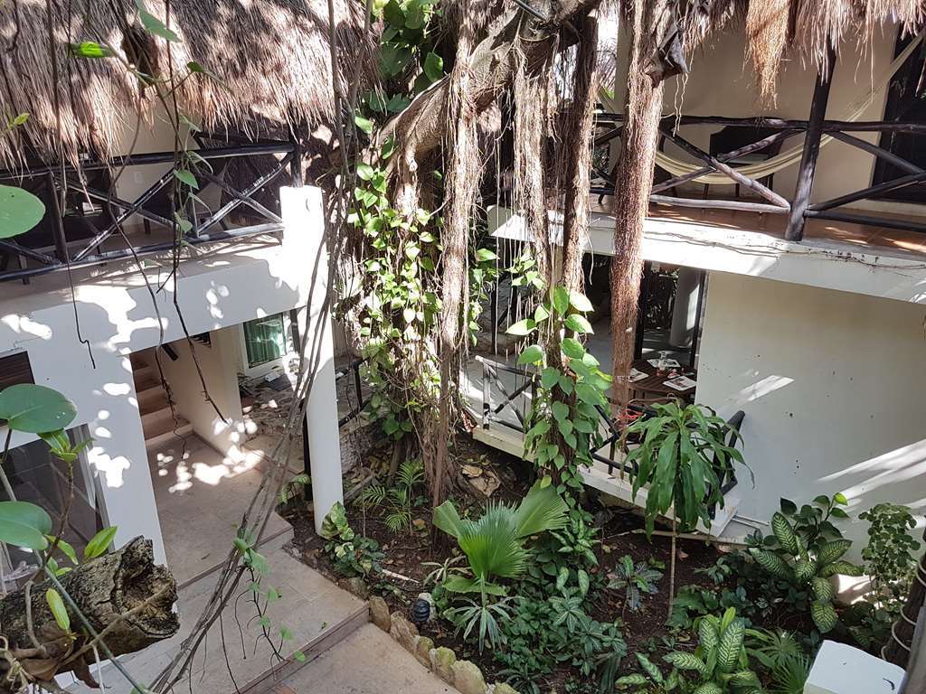 פלאייה דל כרמן Hotel Club Yebo שירותים תמונה