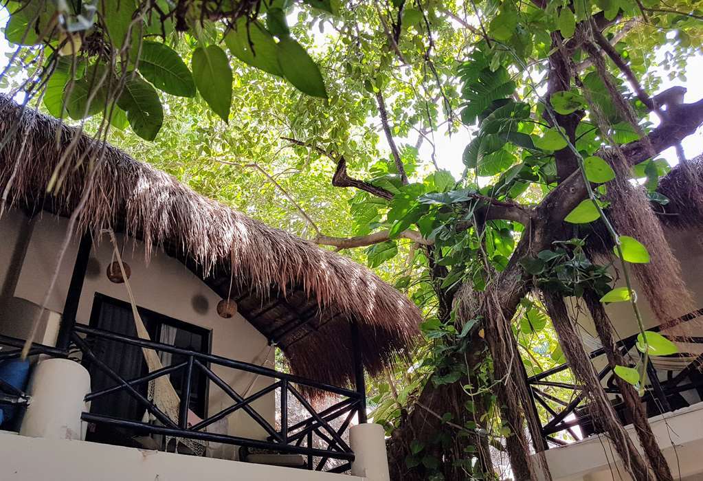 פלאייה דל כרמן Hotel Club Yebo מראה חיצוני תמונה
