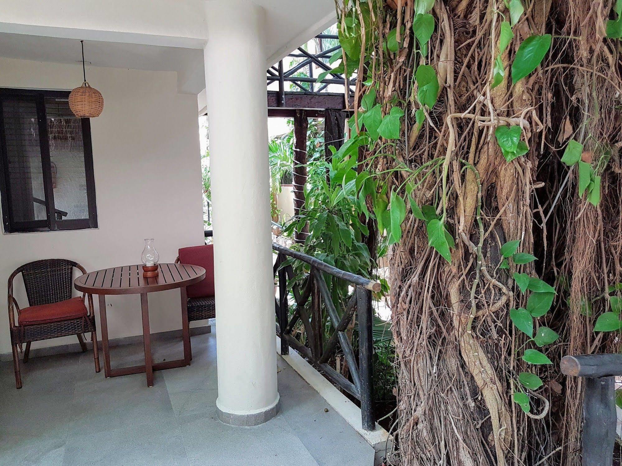 פלאייה דל כרמן Hotel Club Yebo מראה חיצוני תמונה