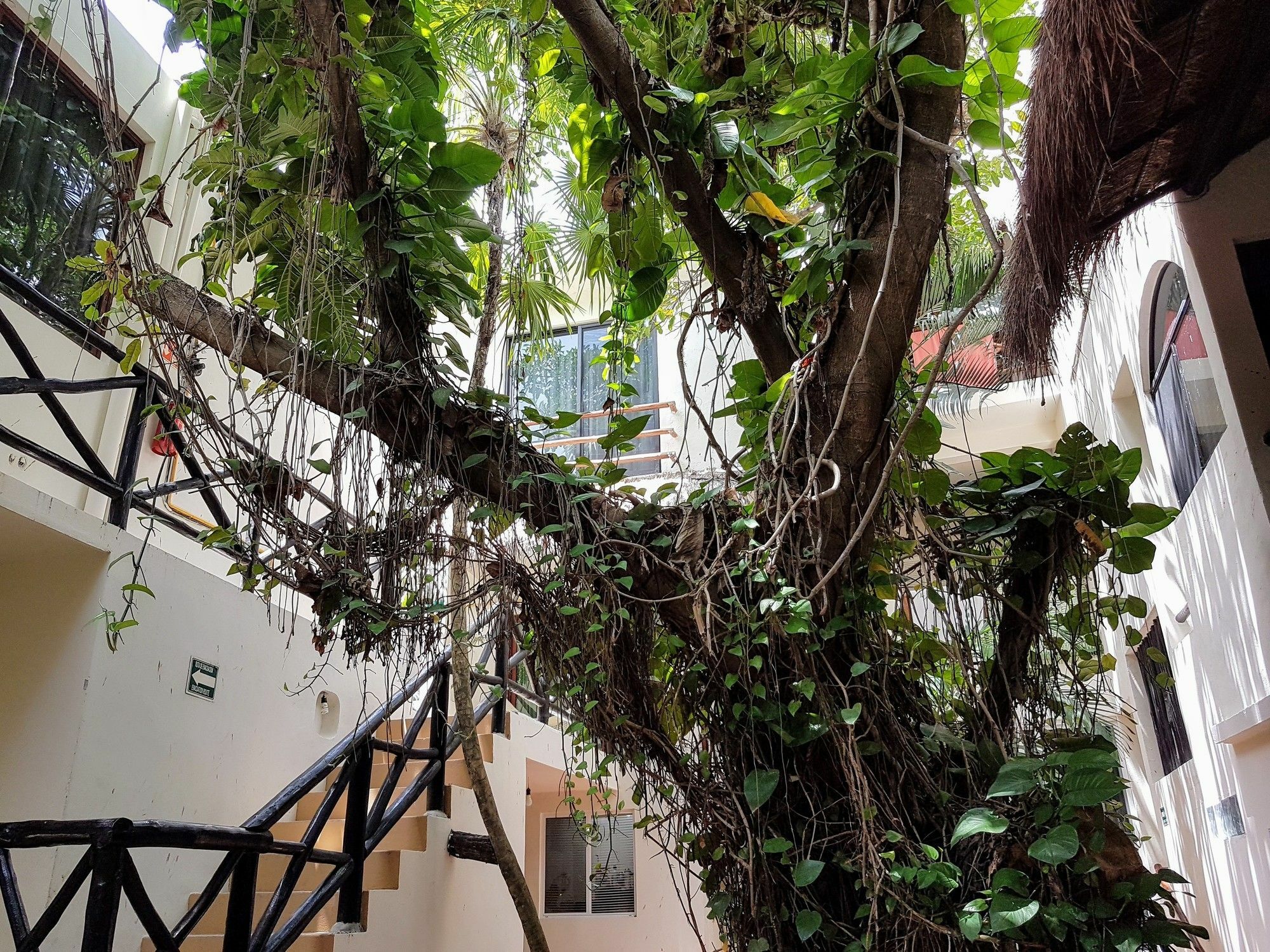 פלאייה דל כרמן Hotel Club Yebo מראה חיצוני תמונה