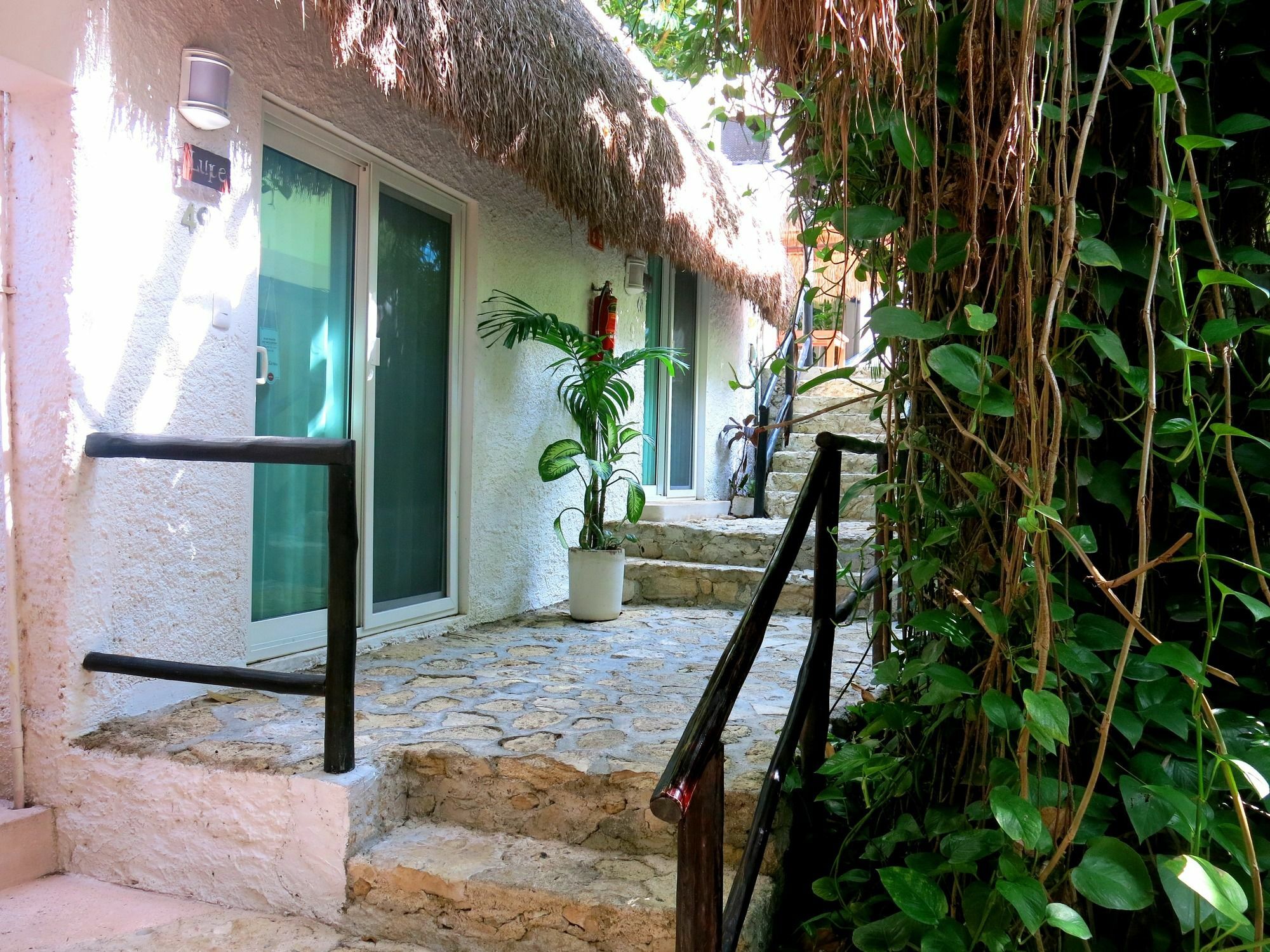 פלאייה דל כרמן Hotel Club Yebo מראה חיצוני תמונה